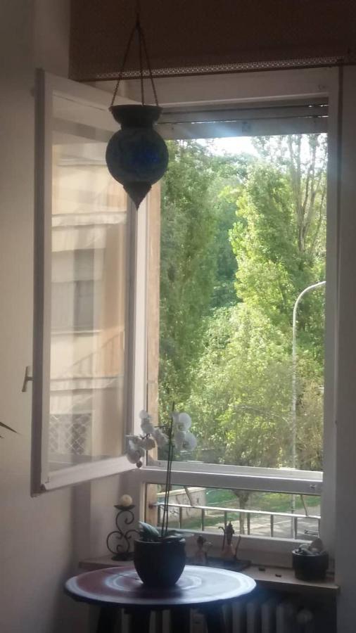 Vista sul fiume Appartamento Torino Esterno foto